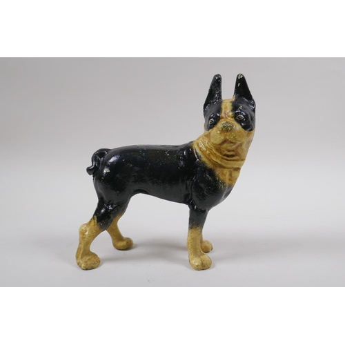 86 - A cold painted cast iron figure of a French bulldog, 20cm high