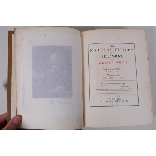 109 - Three editions of The Natural History of Selborne, by Gilbert White, the 1875 edition illustrated by... 