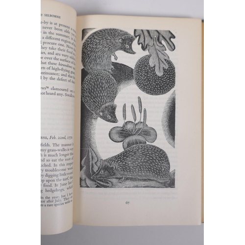 109 - Three editions of The Natural History of Selborne, by Gilbert White, the 1875 edition illustrated by... 