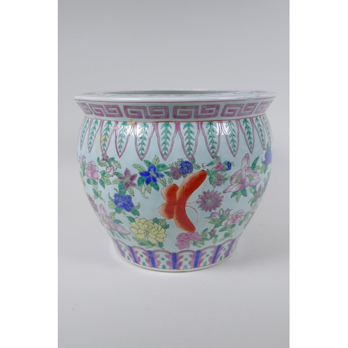 120 - A Chinese famille rose enamelled porcelain jardiniere, decorated with butterflies amongst flowers, s... 