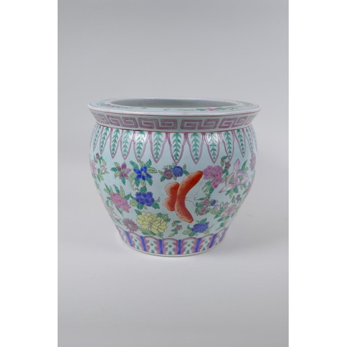 120 - A Chinese famille rose enamelled porcelain jardiniere, decorated with butterflies amongst flowers, s... 