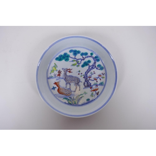 165 - A Doucai porcelain cylinder saucer/dish with deer and bat decoration, Chinese Chenghua 6 character m... 