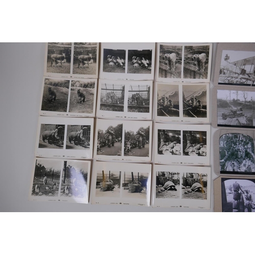 57 - A part set of London Zoo 'Sunbeam Tours' photographic stereo cards, and a quantity of re-print stere... 