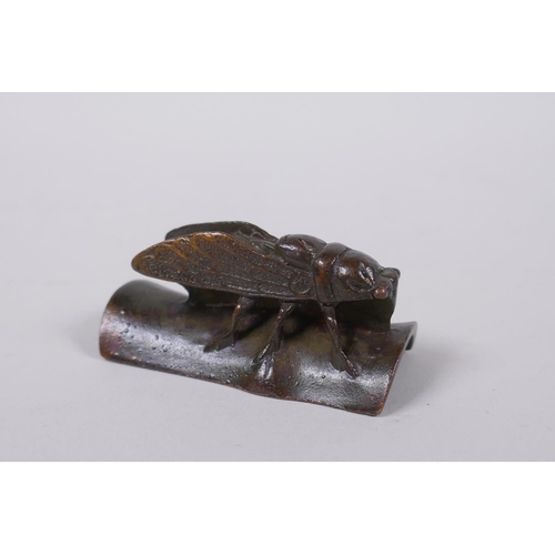 63 - A Japanese bronze okimono cicada on bamboo, signed to base, 6cm