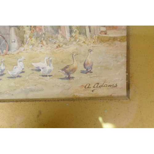 859 - A. Adams, farmyard scene with geese, watercolour, signed, 25 x 16cm