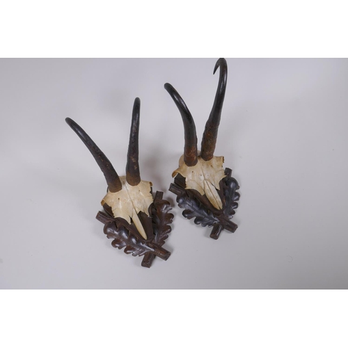 87 - A pair of wall mounted goat skulls on carved wood plaques decorated with oak leaves, 14 x 19cm