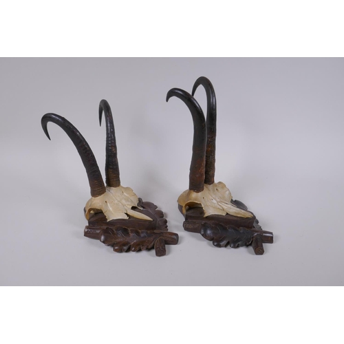 87 - A pair of wall mounted goat skulls on carved wood plaques decorated with oak leaves, 14 x 19cm