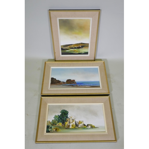 896 - Margaret Norton, three landscapes, Devon Coast, Moorland Bog and Ruins, oils on canvas, 50 x 25cm