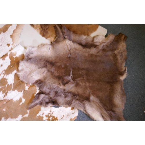 1105 - Three animal hide rugs, cow, goat and wolf, largest 196 x 230cm