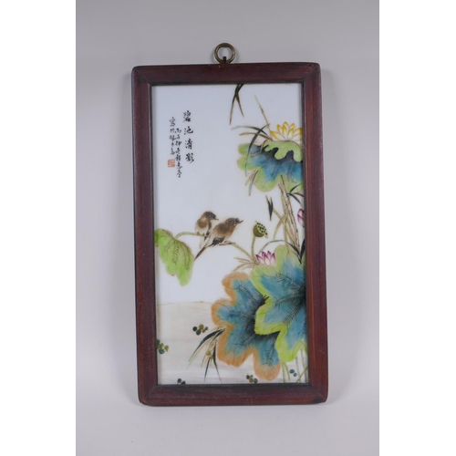 123 - A Chinese famille vert porcelain panel in a hardwood frame, depicting birds and lotus flowers, 23 x ... 