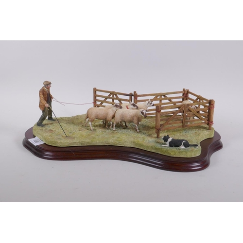 136 - Border Fine Arts, limited edition figure, Anxious Moment - Penning Sheep, 941/1750, 44cm long