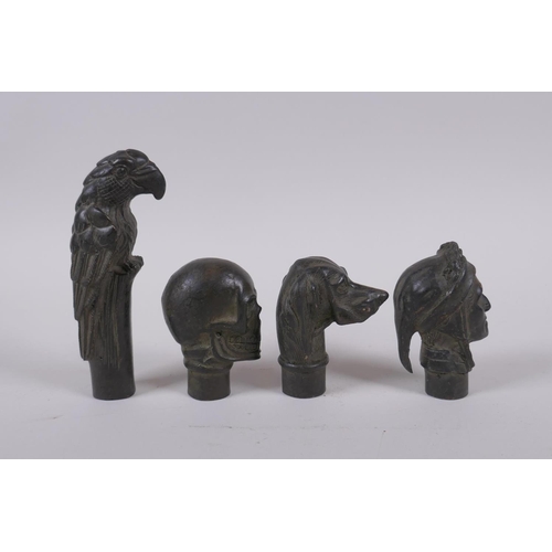 139 - Four bronze walking stick handles in the form of a skull, dog head, head bust and a parrot, largest ... 