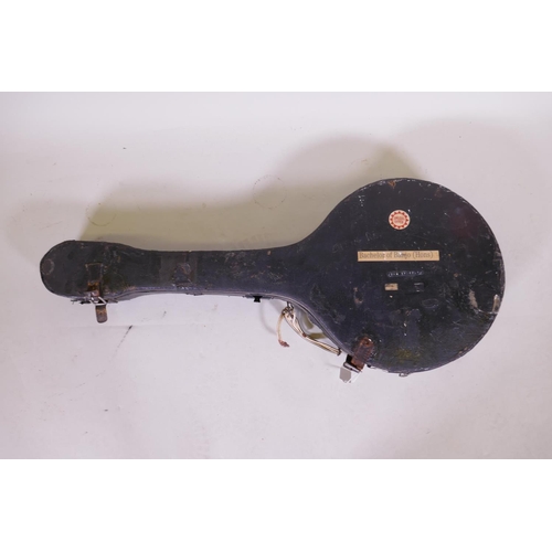 164 - A Will Van Allen tenor banjo, with a hard travel case, 85cm long