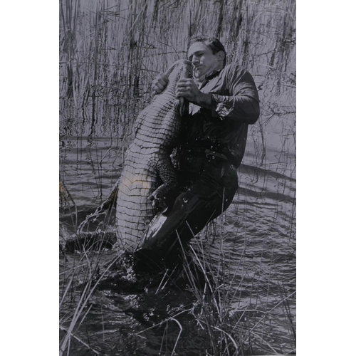 196 - Four large vintage press photographs including Some Duck, depicting Dilly the Duck with June Powell,... 