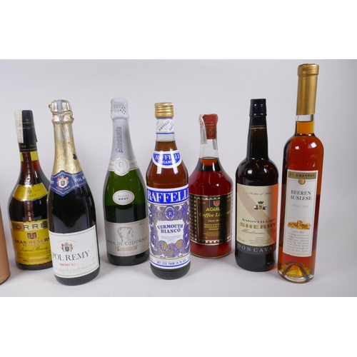 227 - A collection of eleven bottles of spirits and wine, to include Cardinal Mendoza brandy, Courvoisier,... 