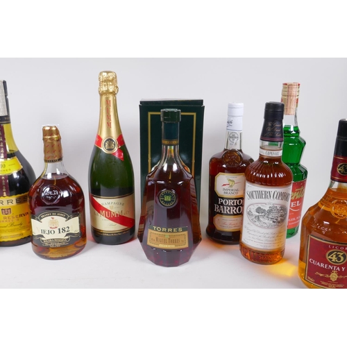 228 - A collection of twelve bottles of spirits and wine, to include G.H. Mumm Champagne, Miguel Torres Ho... 