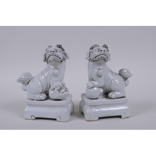 50 - A pair of Chinese blanc de chine porcelain temple lions, 13cm high