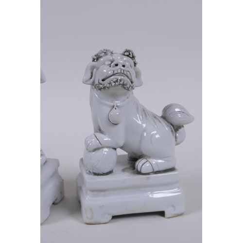 50 - A pair of Chinese blanc de chine porcelain temple lions, 13cm high