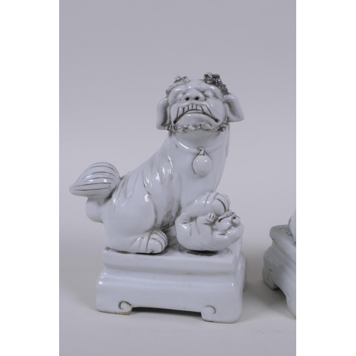 50 - A pair of Chinese blanc de chine porcelain temple lions, 13cm high