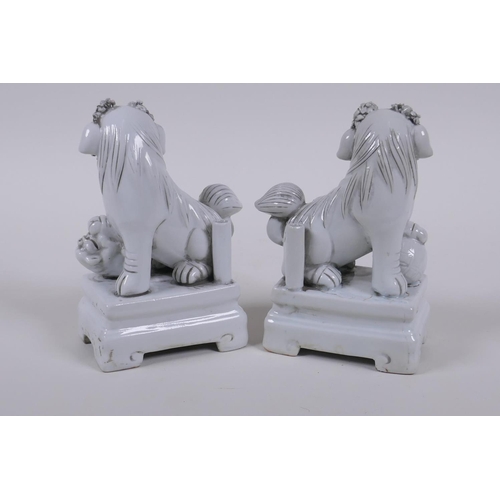 50 - A pair of Chinese blanc de chine porcelain temple lions, 13cm high