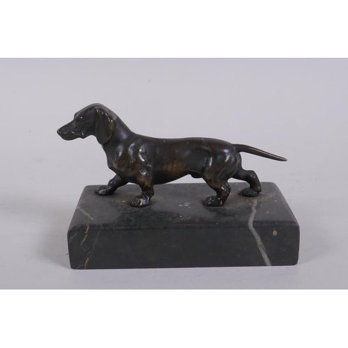 1 - An antique bronze figure of a Dachshund, on a marble base, 10cm long