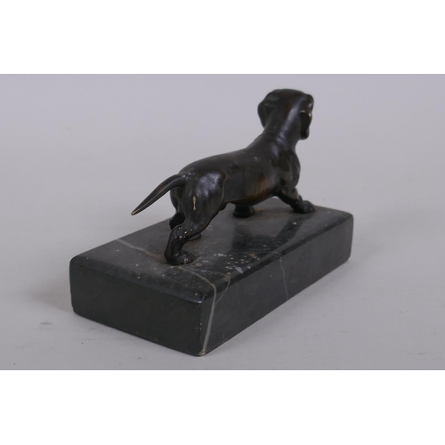 1 - An antique bronze figure of a Dachshund, on a marble base, 10cm long