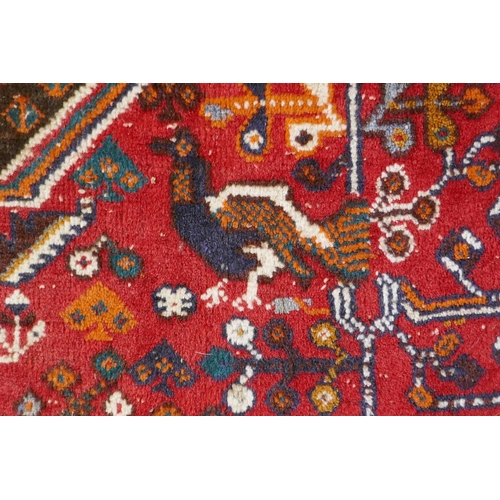 1016 - A hand woven red ground Persian carpet decorated with a geometric medallion, birds and camels, 158 x... 