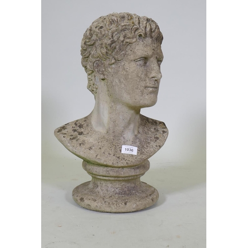 1036 - A reconstituted stone bust after the antique, 50cm high