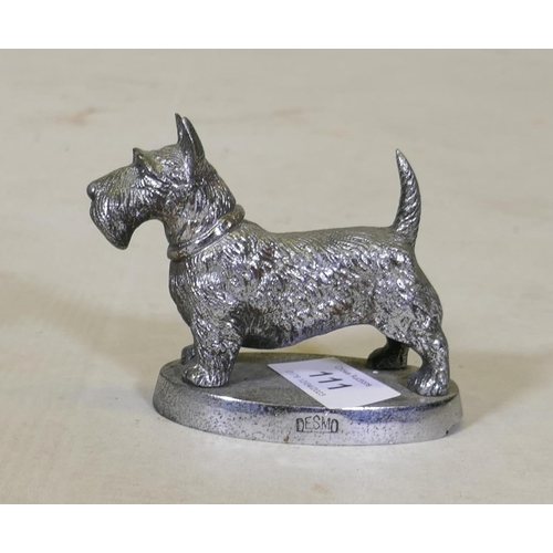 111 - A Desmo chromed metal car mascot in the form of an Angus Terrier, 8cm long