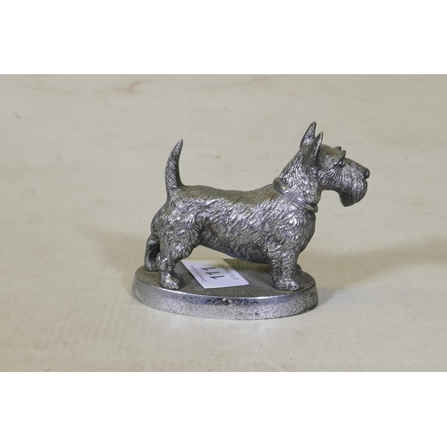 111 - A Desmo chromed metal car mascot in the form of an Angus Terrier, 8cm long