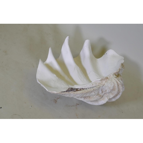 112 - A resin cast model of a clam shell, 74cm wide