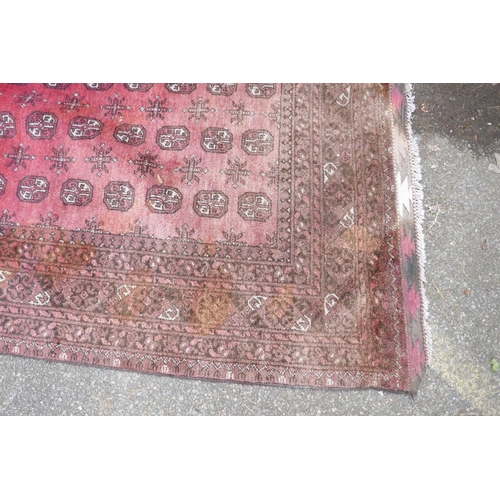 1144 - A hand woven wool Bokhara carpet, faded one end, 200 x 300cm