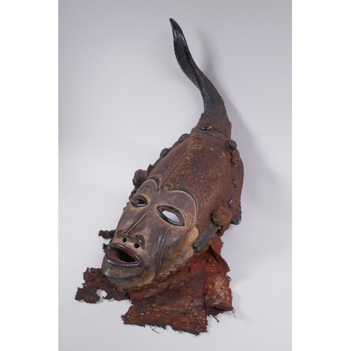 16 - An antique African Igbo tribe carved and painted wood and horn mounted spirit mask, 45cm