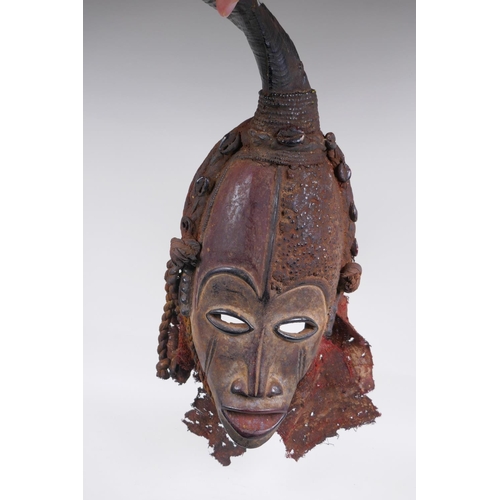 16 - An antique African Igbo tribe carved and painted wood and horn mounted spirit mask, 45cm