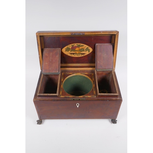 174 - A C19th mahogany tea caddy with banded inlay and brass ball and claw feet, 33 x 18cm 19cm high