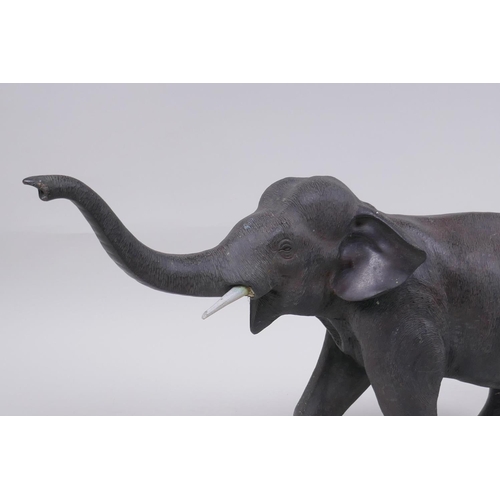 186 - An Austrian style cold painted bronze figure of an elephant, 36cm long, 21cm high