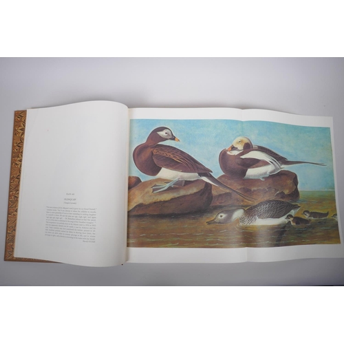 19 - The Original Water-Colour Paintings by John James Audubon for The Birds of America, two volume box s... 