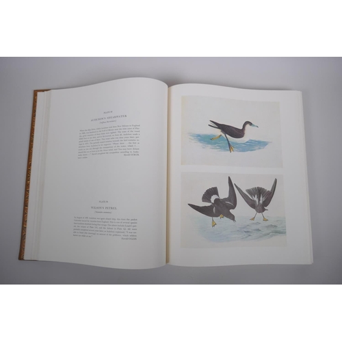 19 - The Original Water-Colour Paintings by John James Audubon for The Birds of America, two volume box s... 