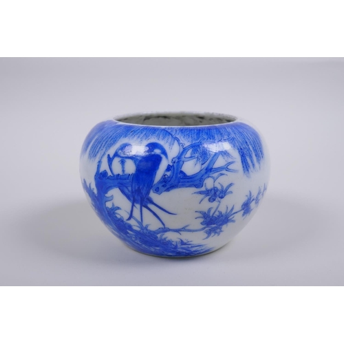 40 - A Chinese Qing dynasty blue and white porcelain pot with rolled rim and decorated with asiatic birds... 