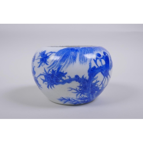 40 - A Chinese Qing dynasty blue and white porcelain pot with rolled rim and decorated with asiatic birds... 