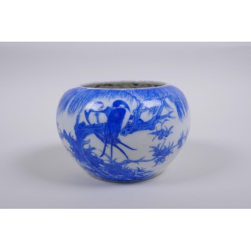 40 - A Chinese Qing dynasty blue and white porcelain pot with rolled rim and decorated with asiatic birds... 