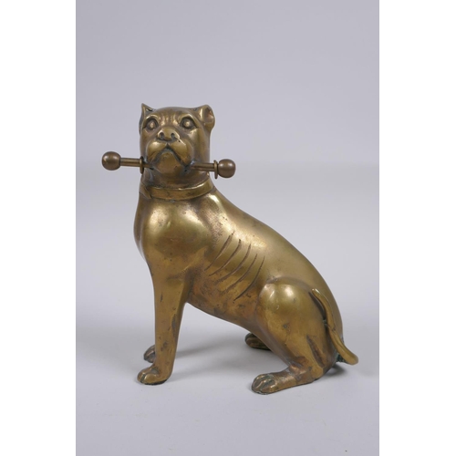 44 - A bronze figure of a pit bull terrier, 17cm high