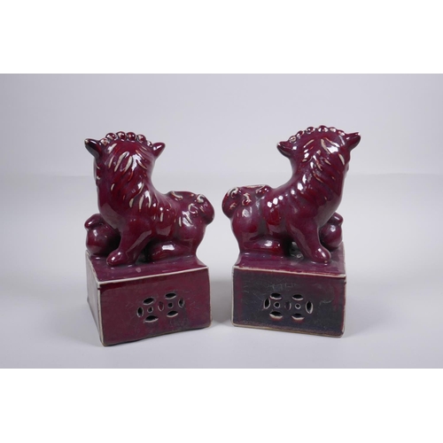 48 - A pair of sang de boeuf glazed porcelain fo dogs, Chinese Xuande 6 character mark, 21cm high