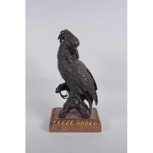 5 - A bronze figure of a cockatoo after Bergman, raised on a parcelgilt wood and marble base, 36cm high