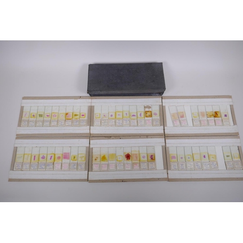 64 - A collection of scientific microscope slides, all with annotations and labels, many dated 1947, boxe... 