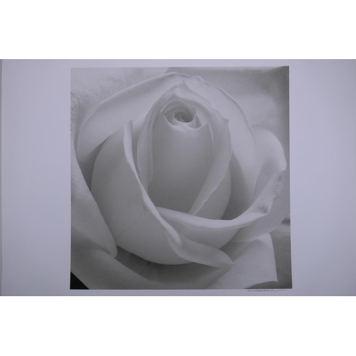 820 - Hiroyuki Arakawa, (Japanese, b.1951), The Passion of Purity, photographic print from his flower seri... 