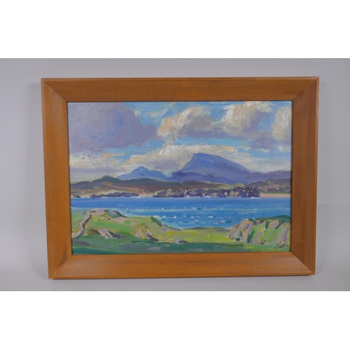 831 - Irish School, landscape, inscribed on label verso 'Muckish Mountain, Co. Donegal, Ireland', oil on b... 