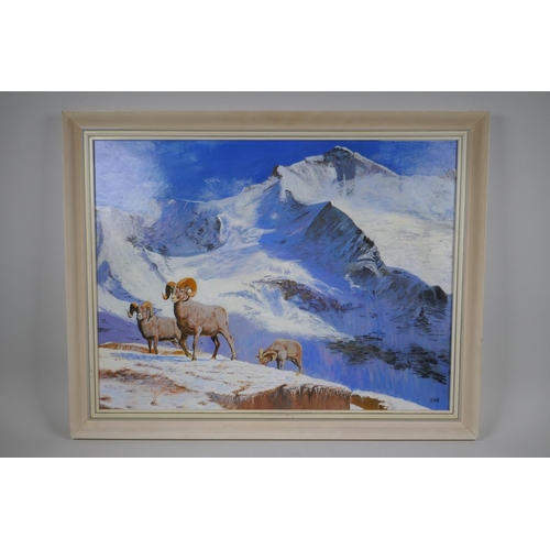 848 - Stan Bathurst, Bighorns on a snowy mountain, oil on board, 68 x 52cm