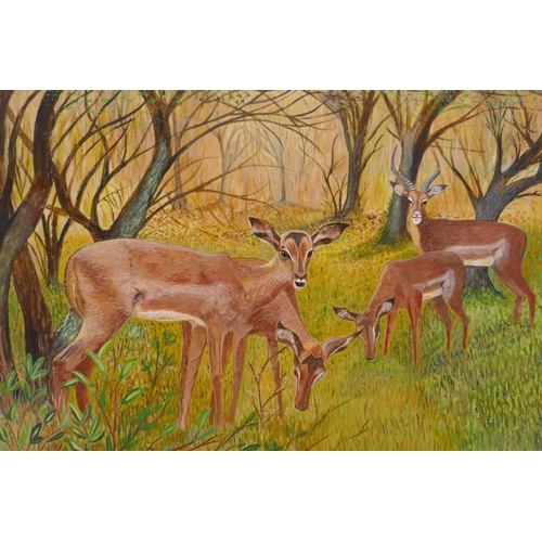 849 - Stan Bathurst, racoon in a tree, fox in a tree and deer in a glade, three oils on board, largest 50 ... 