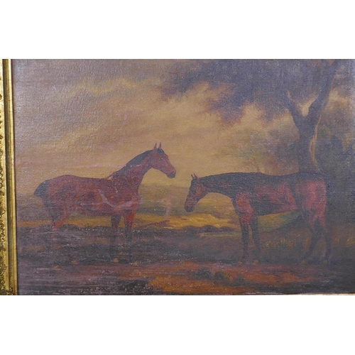 871 - Two bay hunters in a landscape, unsigned oil on canvas, in a gilt frame bearing label Peter Watts 18... 